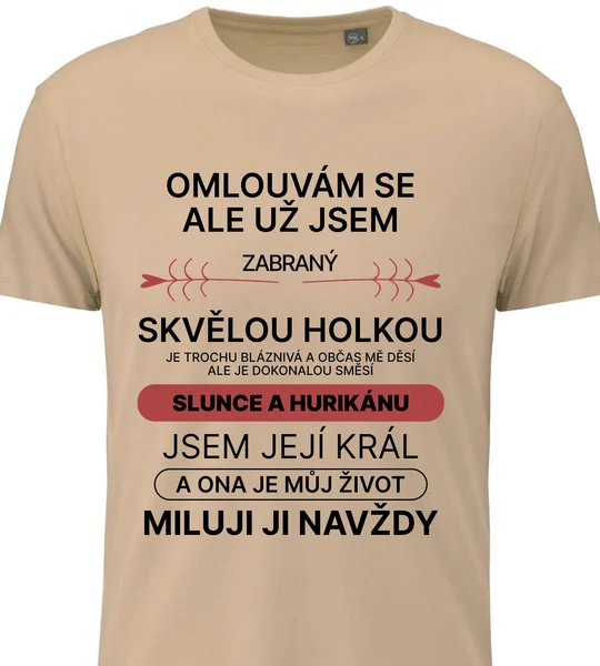 Pánské vtipné tričko - ZABRANÝ SVĚLOU HOLKOU