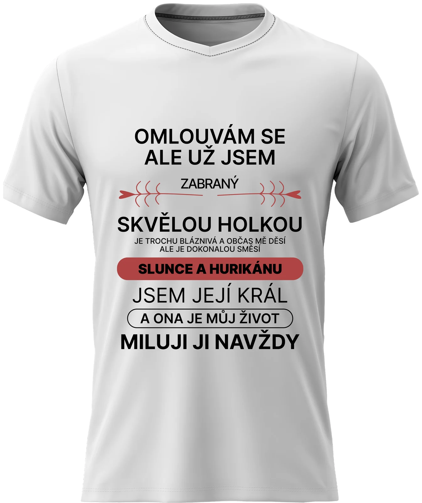 Pánské vtipné tričko - ZABRANÝ SVĚLOU HOLKOU